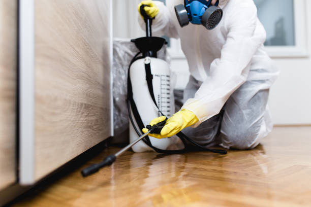 Best Pest Control Near Me  in Fairview, CA