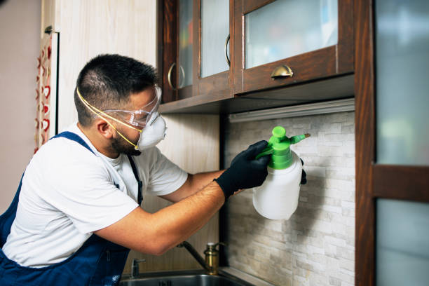 Best Cockroach Control Services  in Fairview, CA