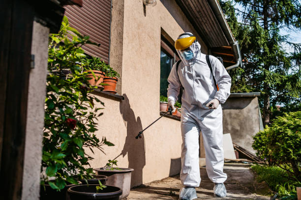 Best Flea Control Services  in Fairview, CA