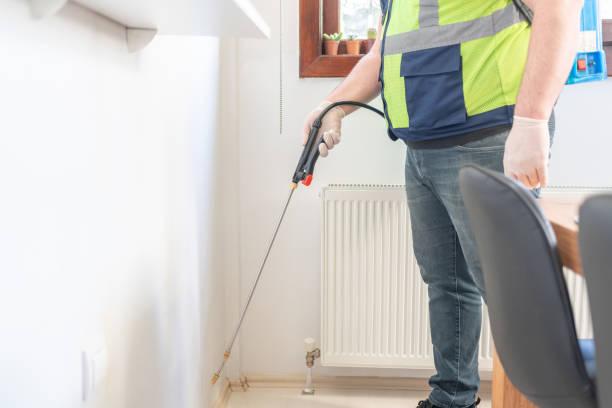 Best Emergency Pest Control  in Fairview, CA