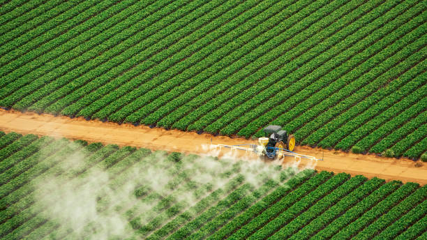 Best Commercial Pest Control Services  in Fairview, CA