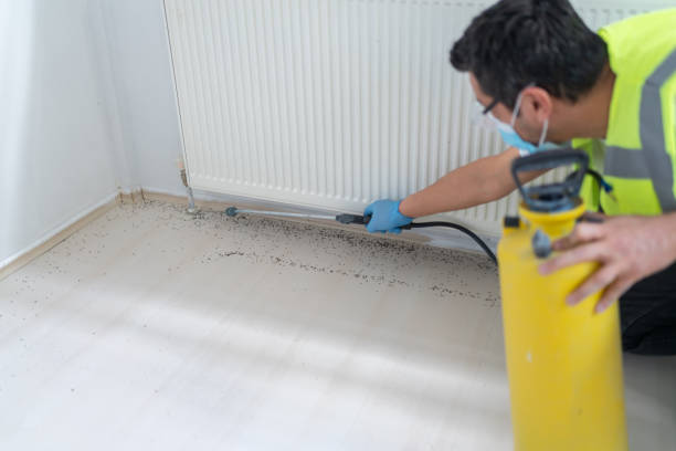 Best Local Pest Control Services  in Fairview, CA